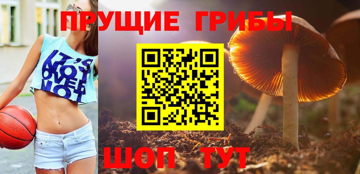 Волхов  Галлюциногенные грибы мицелий  Вход с VPN 