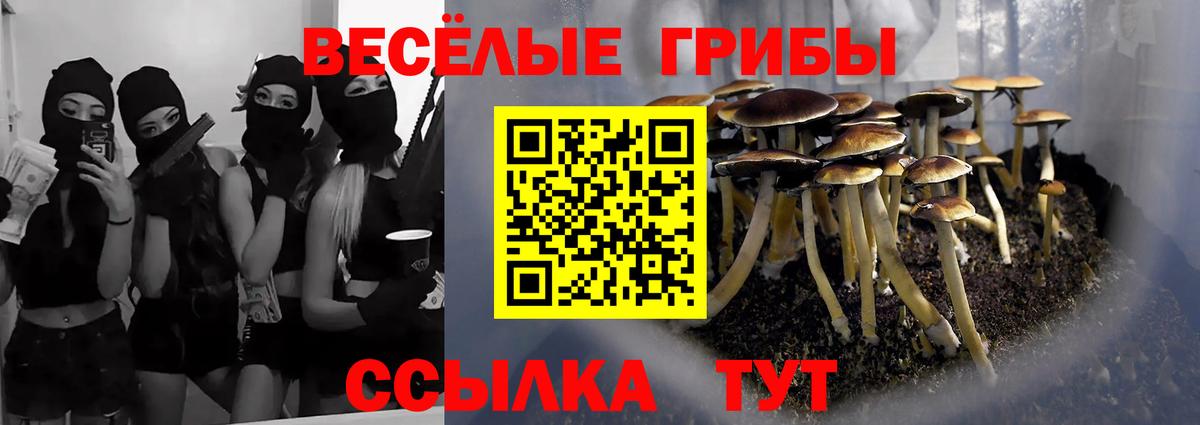 Псилоцибиновые грибы Magic Shrooms Волхов